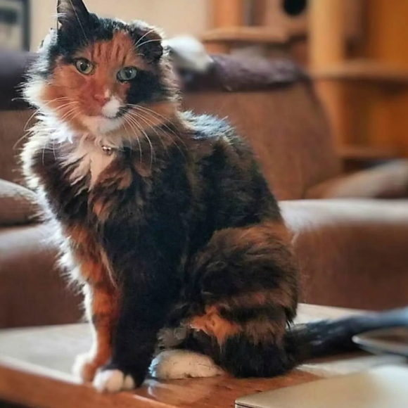 Meet your Posher, Adrienne - Picture 13 of 16